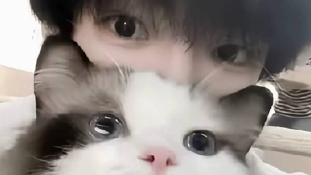 乞丐模拟器小要饭的故事