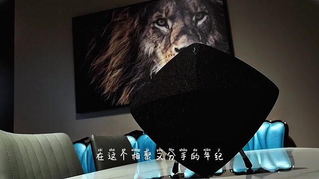 简约设计里有不简单的格调，DOSS大耳朵音响