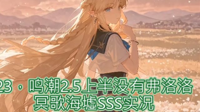 23，鸣潮2.5冥歌海墟SSS实况