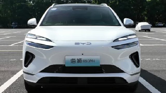 比亚迪打技术战！14万干云辇C