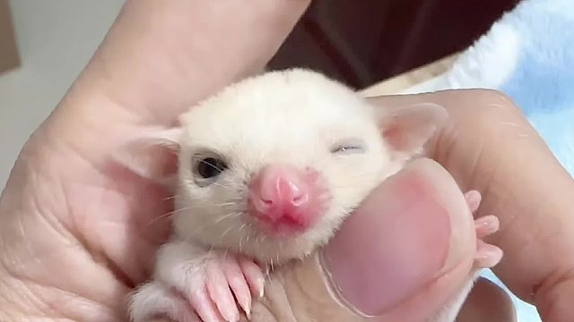 睁开一边眼睛啦