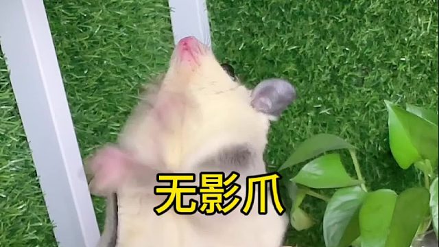 这大眼睛也不太好使呀