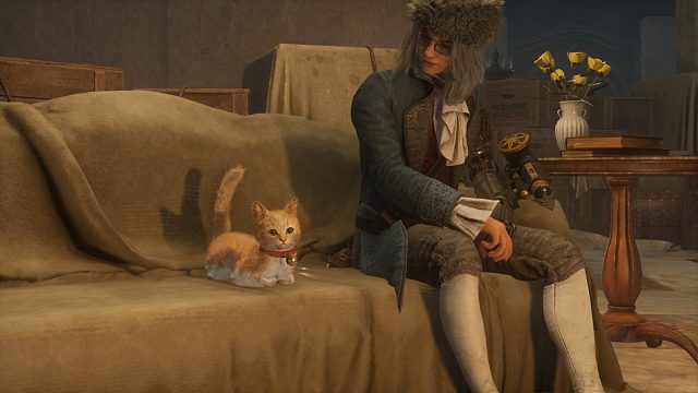 【匹诺曹的谎言】小猫咪的治愈