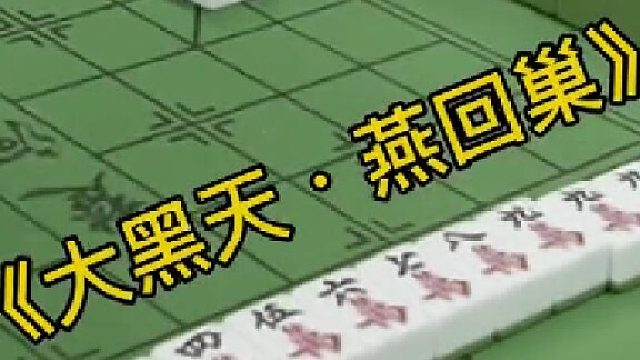 白天也能燕回巢？