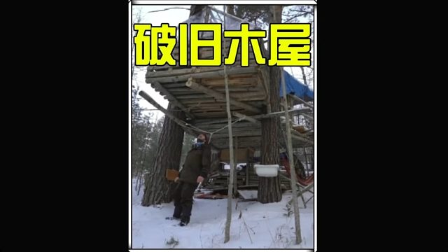 这样宛如垃圾堆的破旧木屋你敢不敢住？  (1)