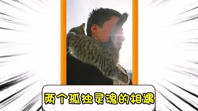 两个孤独灵魂的相遇