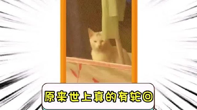 原来世上真的有轮回