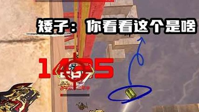 看看这个是啥  (1)