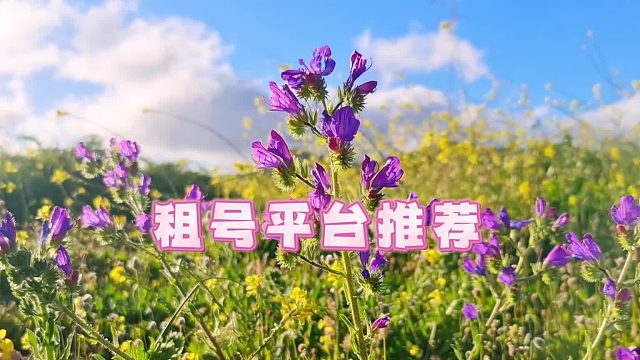 金铲铲之战租游平台推荐