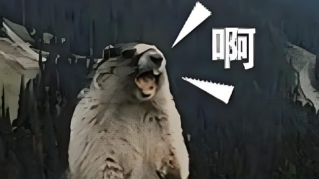 1V3卡点正起劲，电话来了。。。