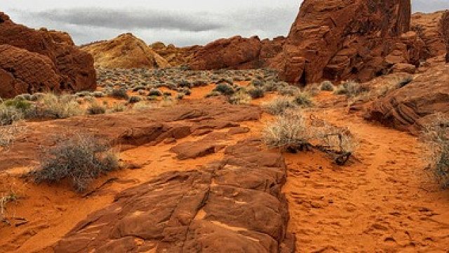 局部万伤，就是干