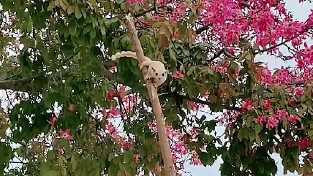 长的再大我也是个孩子。