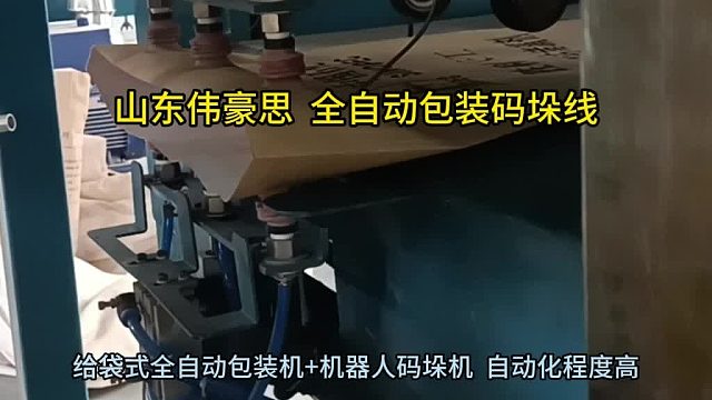 东营自动包装码垛机供应 袋装系统包装码垛设备 山东伟豪思