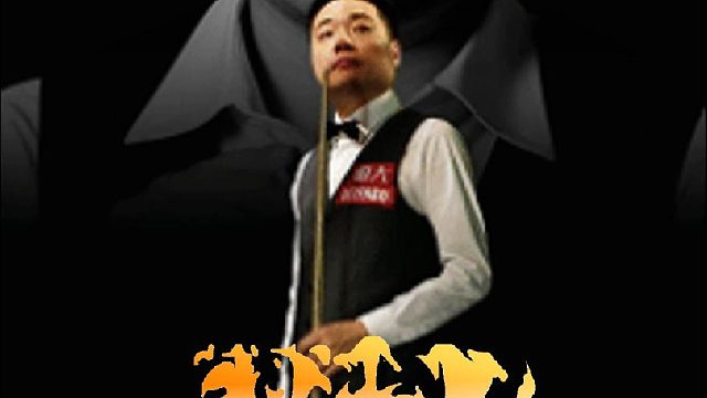 丁俊晖球杆绿牌现货到了，抓紧下单，手慢无