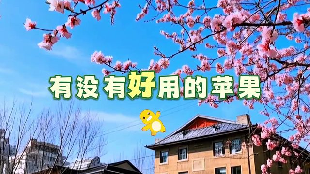 金铲铲之战租游平台推荐