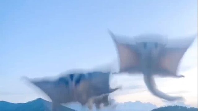 最后那三个我怀疑你们是约好了的