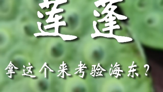 你真把我当傻子啦？