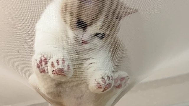 宝宝 你挡着光了