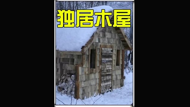 一口气看完小伙花费三天时间在雪天打造出一座精致小木屋 (3)