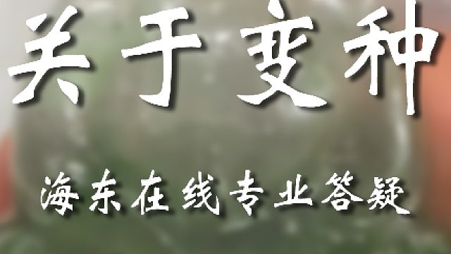 一天一个小知识