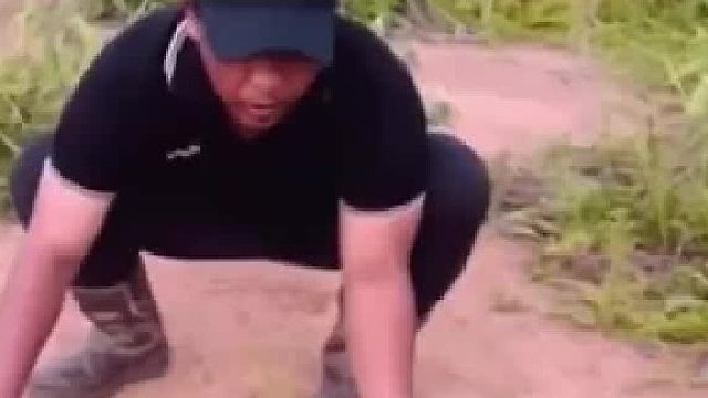 在野外发现蛇的惊险时刻！