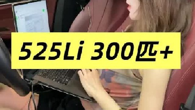 宝马525Li B48B20C 低功率风冷发动机 一阶特调程序 300匹 