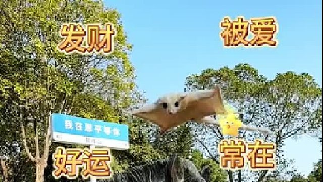 2025关键词：发财 平安 喜乐 健康 好运