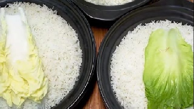 表哥不在，伙食这么差