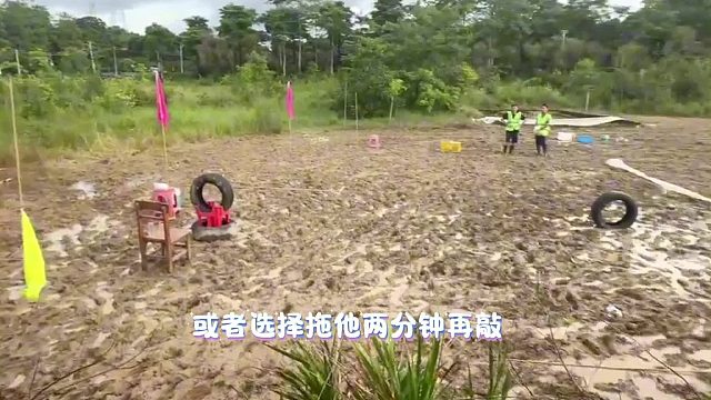 第六关和第七关超有趣！钻网取蛋，运人敲锣规则大曝光！