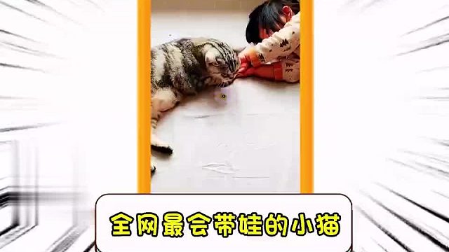 全网最会带娃的小猫