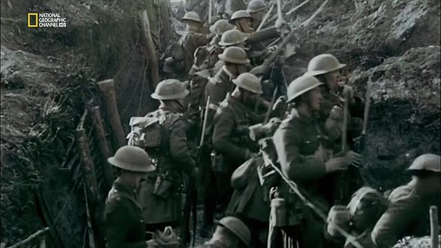 整个青春，我始终专注做好一件事