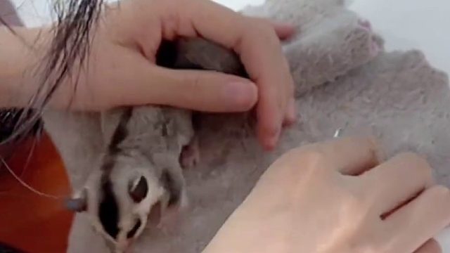 白脸弟弟剪完指甲出发成都啦！