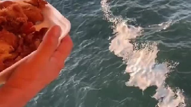 还招人吗？100万就行