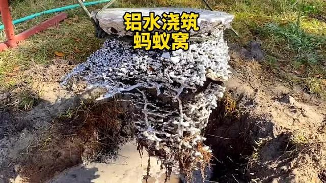 男子用铝水浇灌蚂蚁窝，最后得到了一块精品艺术