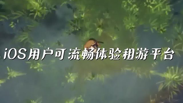 蛋仔派对租游平台推荐