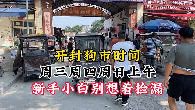 记好开封狗市时间，周三周四周日上午，新手小白来多逛慎重入手！
