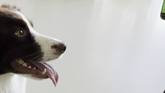 学会了吗？等一下，你学太快了