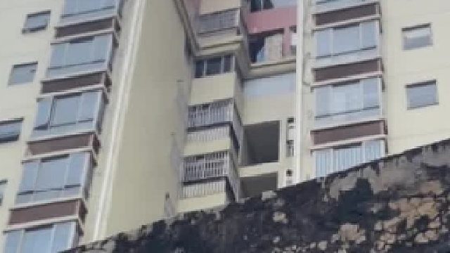 快看，老鼠给我表演走钢丝！算了，你肯定觉得没意思