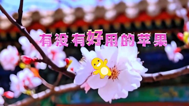 三角洲行动租游平台推荐