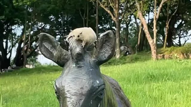 你仿佛一束光照进了我平平无奇的生活里。