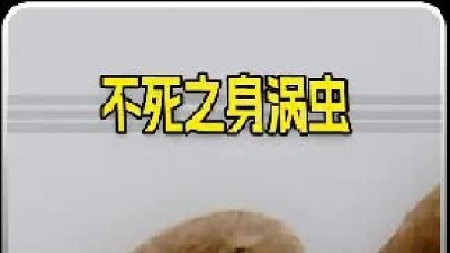 即使切成一百块，也不能杀死的涡虫，再生能力到底多强？