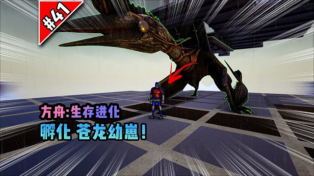 方舟第41期：孵化苍龙幼崽！