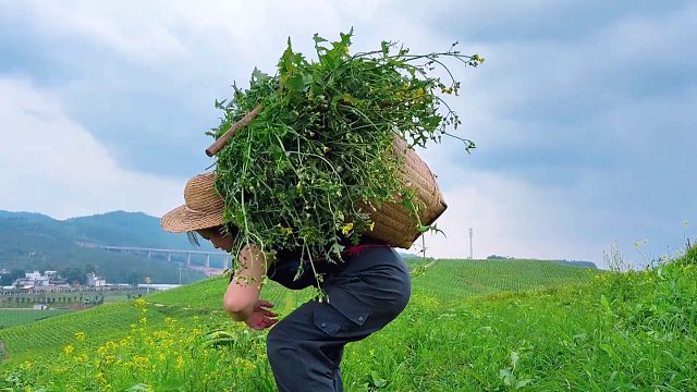农村媳妇真能干，给辆奔驰也不换