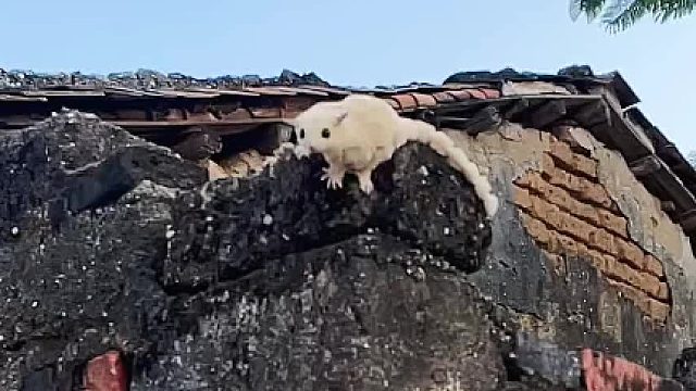 遇见都是天意，拥有就是幸运