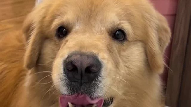 挑战一整天不拍