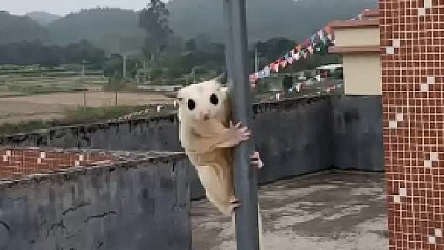 奔向未来，满怀希望