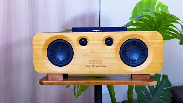 音质惊艳的艺术音响，源头工厂品牌直销，性价比值了