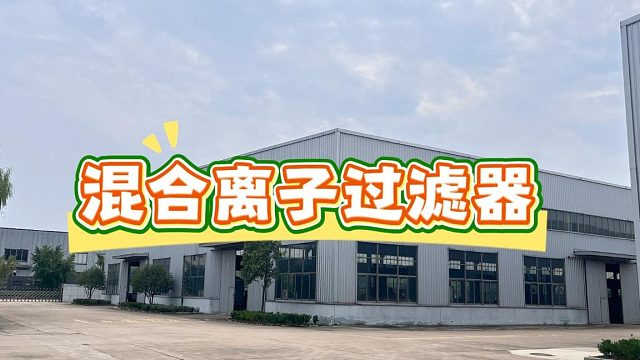 混合离子过滤器