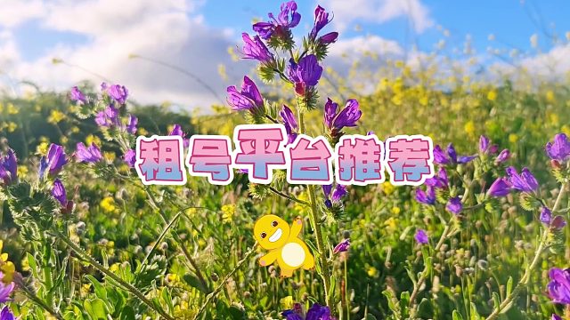 蛋仔派对租游平台推荐