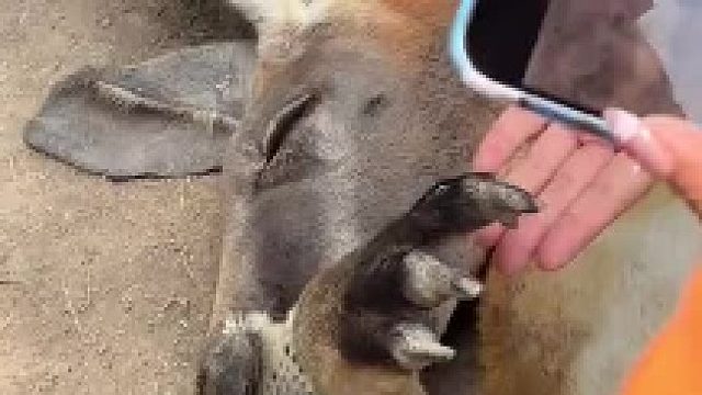 刚子：差不多行了啊